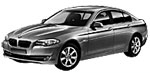 BMW F10 P1C97 Fault Code